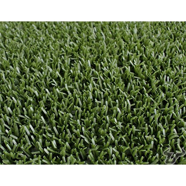 astro turf aves rapaces ceteria verde