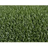 astro turf aves rapaces ceteria verde