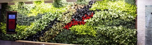 Jardín vertical